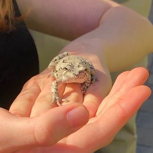 Meet your Posher, Willow